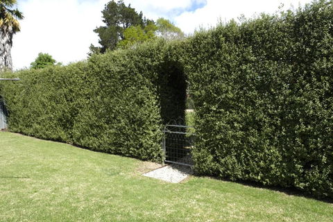 Belford House - Accommodation Gold Coast 1