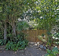Rare Modern Unit w Private Fenced garden Close to The Beach PC3 - Accommodation Gold Coast