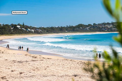 Relaxed Homely Retreat 57 Carroll Ave - Gold Coast 4U 4