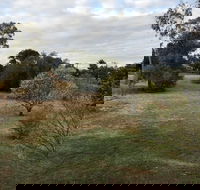 Young Budget Accommodation - Accommodation Gold Coast