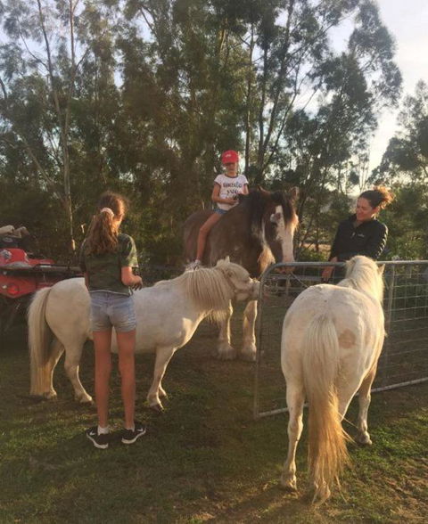 Glamping Gypsy Hobart - Accommodation Gold Coast 5