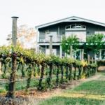 Mortimers Wines The Canopy Loft - Gold Coast 4U 1