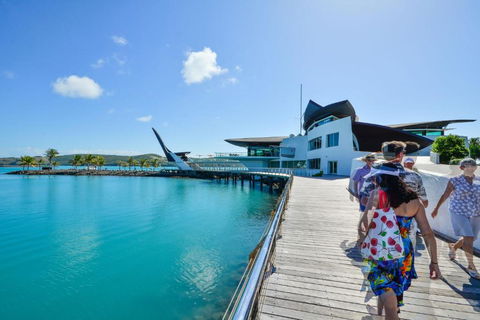 Yacht Club Villa 33 Serenity 4 Bedroom 4 Bathroom House Ocean Views 2 Buggies - Accommodation Gold Coast 4
