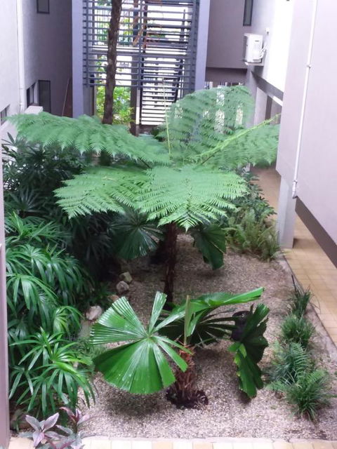 Jackies Studio Apartment - Accommodation Gold Coast 5