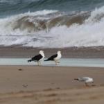 GALWAY COTTAGE - Gold Coast 4U 0