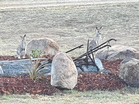 R & R On The Ravine - Accommodation Gold Coast 5