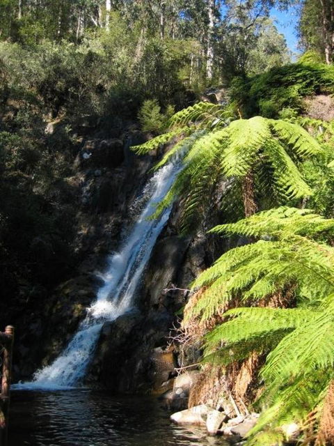 RiverCottage Selfcontained - Accommodation Gold Coast 2