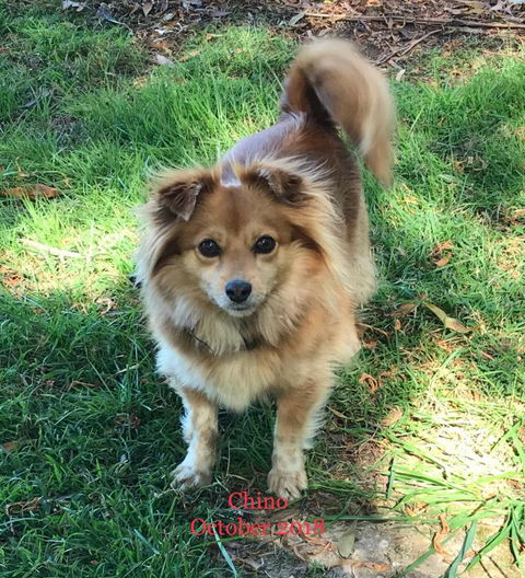 Acacia Hills Retreat - 1 Gold Coast 4