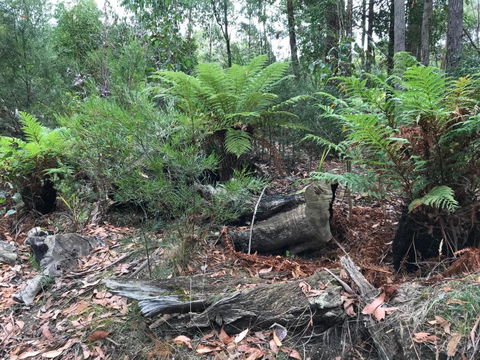 Acacia Hills Retreat - 1 Gold Coast 2