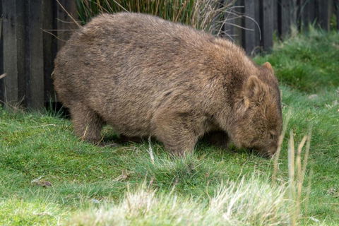 Acacia Hills Retreat - 1 Gold Coast 6