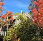 Cloudsong Chalet 4 Close to the village centre - Accommodation Gold Coast