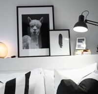 105flora Cozy Stay Prahran Lively Neighbour - Accommodation Gold Coast
