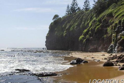 Ocean Mist Cottage Across From Pet Friendly Beach - Accommodation Gold Coast 2