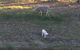 Tree Of Love Farm Stay - thumb 5