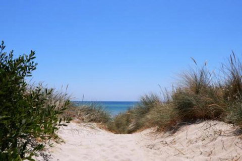 Bay Watch - 1 Gold Coast 5