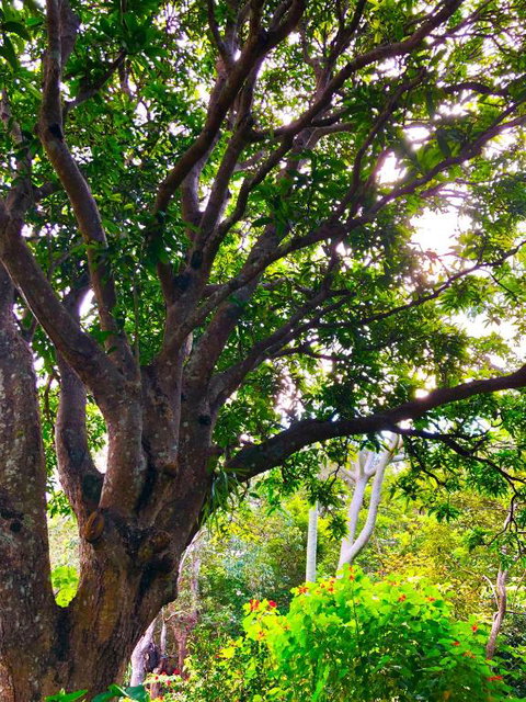 Graces Of Byron - Accommodation Gold Coast 4