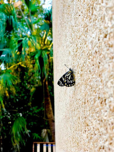 Graces Of Byron - Accommodation Gold Coast 5