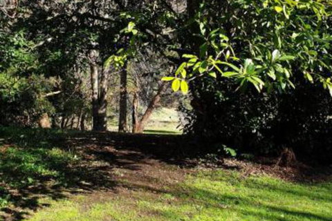 Redruth 2 Bedroom Cottage Situated In Wandiligong - Accommodation Gold Coast 4