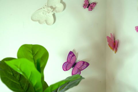 A Cozy 3BRM House At Doncaster - Accommodation Gold Coast 1