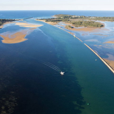 The Seabird - Gold Coast 4U 0