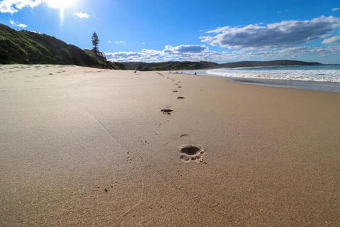 Surfers Paradise At Catherine Hill Bay - Gold Coast 4U 2