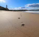 Surfers Paradise at Catherine Hill Bay - Gold Coast 4U