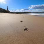 Surfers Paradise At Catherine Hill Bay - Gold Coast 4U 0