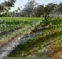 Renovated Cottage Aberdare Hunter Valley - Accommodation Gold Coast
