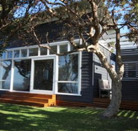 SEA URCHIN - 1 Gold Coast