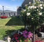 Velika - Accommodation Gold Coast