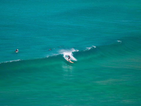 Banksia - Accommodation Gold Coast 4