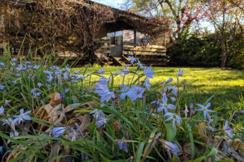 Alexander Cottage - Accommodation Gold Coast 3