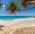 Coolum Classic Beach Shack Pet Friendly - Accommodation Gold Coast