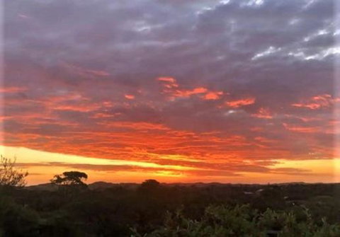 Valentine Sandcastles - 1 Gold Coast 6