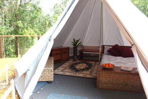 Stonehouse Farm Glamping - 1 Gold Coast 6