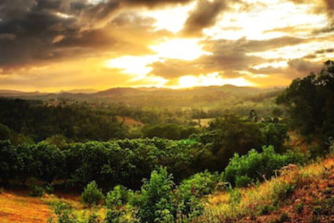 Stonehouse Farm Glamping - 1 Gold Coast 0