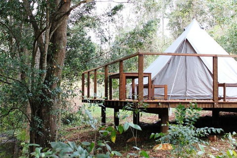 Stonehouse Farm Glamping - 1 Gold Coast 5