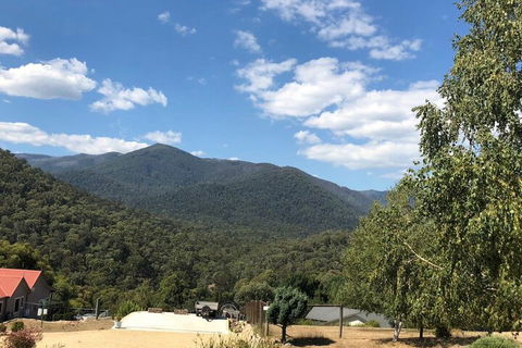 Alpine Stag Lodge Unit 2 - 1 Gold Coast 7