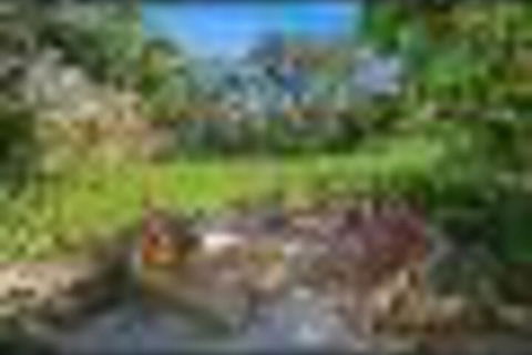 Retreat Apartment - Accommodation Gold Coast 3