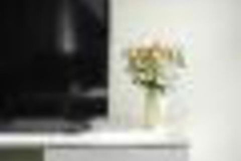 TWIG CBD Water Views - Accommodation Gold Coast 6