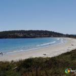 The Beach Escape - Accommodation Gold Coast 0