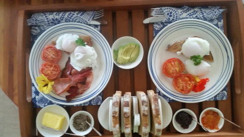 Beezneez B & B - Accommodation Gold Coast 1