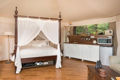 Clouds Safari - Accommodation Gold Coast 4