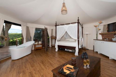 Clouds Safari - Accommodation Gold Coast 1