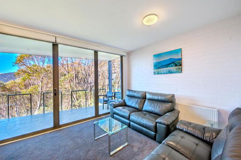 Snow Ski Apartments 25 - Accommodation Gold Coast 1