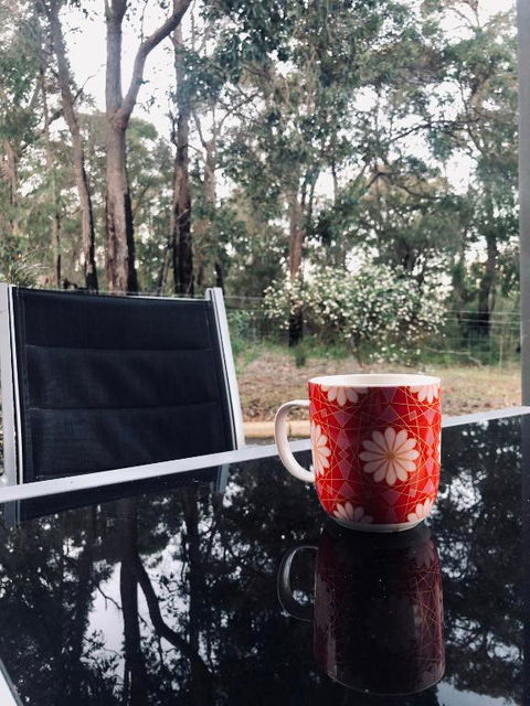 On The Edge Of The Forest - Gold Coast 4U 6