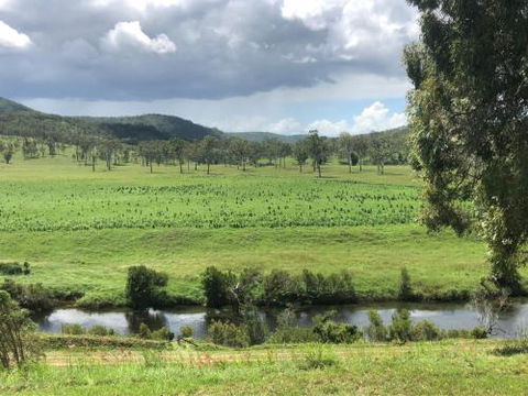 Creekbend - Accommodation Gold Coast 2