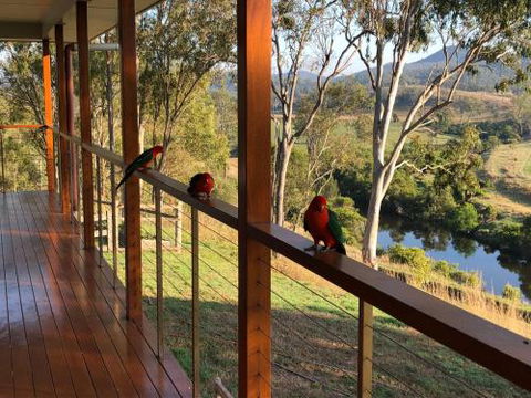 Creekbend - Accommodation Gold Coast 6
