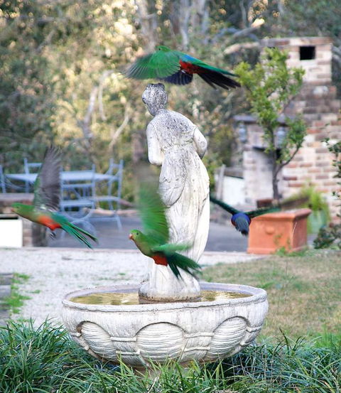 The Willows At Kurrajong - Gold Coast 4U 4