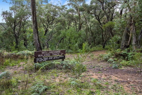 THE TEACHERS COTTAGE - Accommodation Gold Coast 5